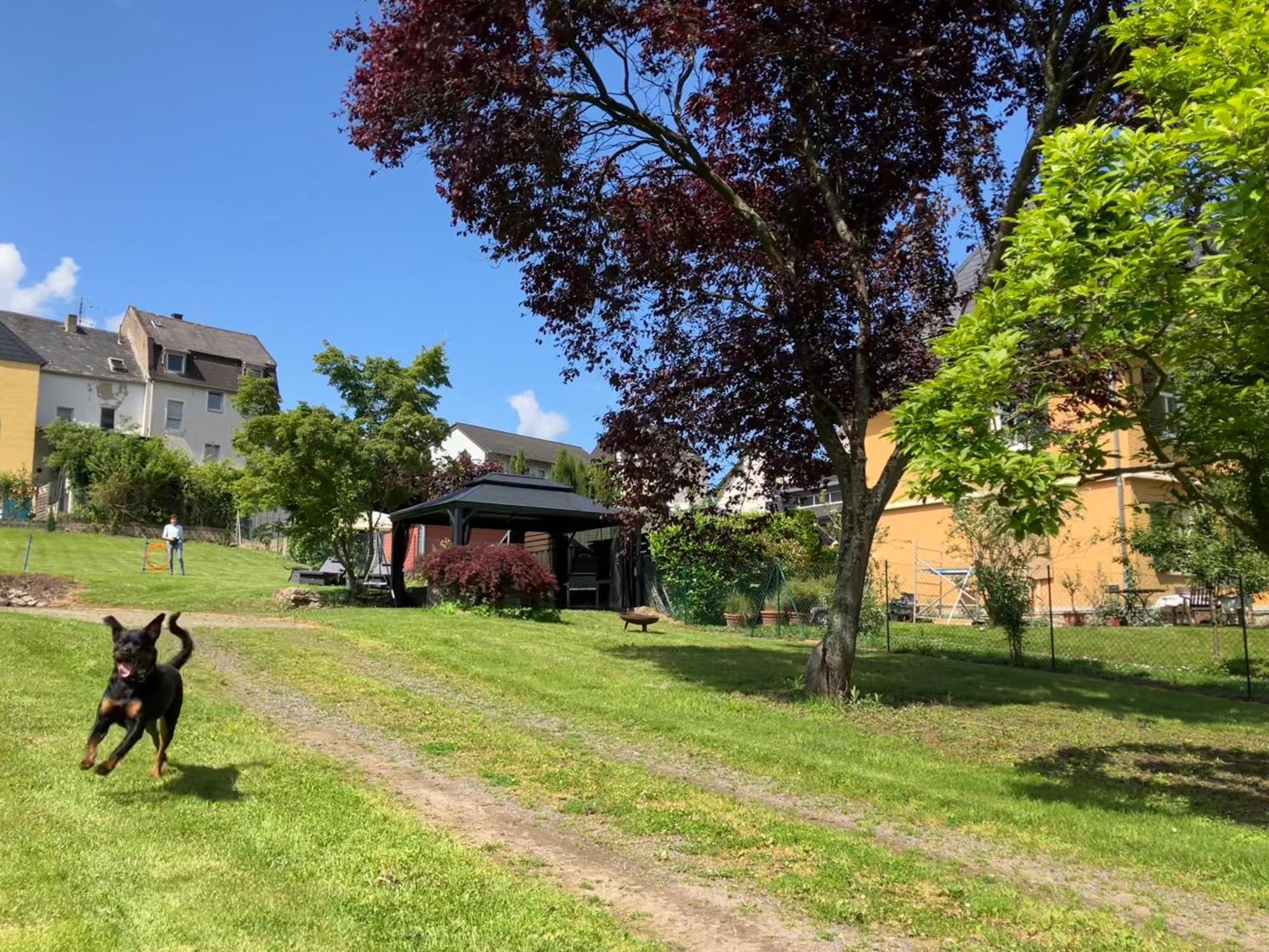 Neu - Ferienwohnungen Im Winzergarten Traben-Trarbach Esterno foto