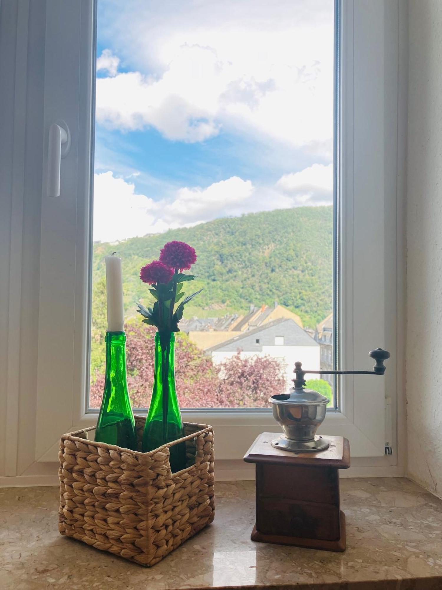 Neu - Ferienwohnungen Im Winzergarten Traben-Trarbach Esterno foto