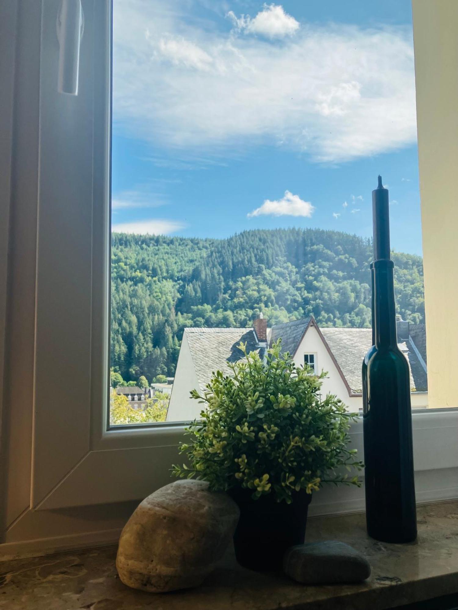 Neu - Ferienwohnungen Im Winzergarten Traben-Trarbach Esterno foto